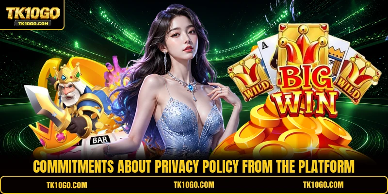 Commitments about Privacy Policy from the platform
